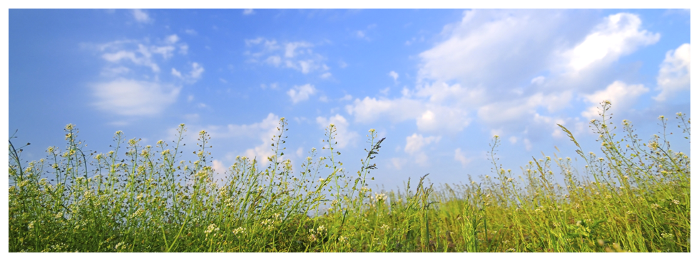 topbanner